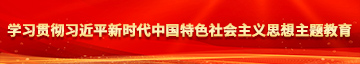 日本女人操男生学习贯彻习近平新时代中国特色社会主义思想主题教育